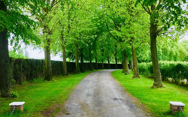 Allée de l'entrée du domaine d'ingelshof